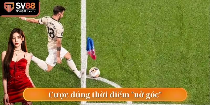 Cược đúng thời điểm "nở góc"